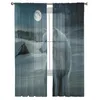 Cortina de lua cheia Snowfield Wolf Starry Sky Sheer Cretins for Living Room Modern Voile Bedroom Tule Drapes de janela