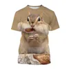 Men's T Shirts Summer Cute Squirrel Mönster 3D Män och kvinnor t-shirt mode trend avslappnad j street stil andningsbara lätta toppar.