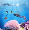 Neue Aquariumdekoration Zubehör Mini Samll Ornamente Pflanzen Steine ​​Dekorschildkröten -Accessoire Aquarium für Fischtankbehörden