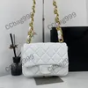 CC Brand Totes 21x17CM Oversize Chain 22s Clutch Bags Crossboys Embroidery Diamond Underarm Shoulder Bag Gold Metal Hardware Wallet Designer Handbags Luxury Pur