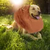 Vêtements pour chiens Lion Mane S pour chiens Costume réaliste Mascarade drôle Petit moyen et grand élastique