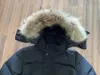 Real Coyote Fur Wolf Designer Homme Puffer Outdoor Windbreaker Outerwear Com Capuz Fourrure Manteau Canadá Wyndham Casaco Fur Hiver Parka Doudoune