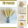 Decorative Flowers 70 Pcs White Pampas Grass Tall Decor DIY Natural Dried Reed