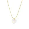 Kedjor släpp smycken nisch design kärlek hjärtfritillär halsband enkel rostfritt stål kedjekedja kvinnor