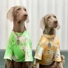 Vestuário de vestuário de cachorro grande protetor solar traje dourado retriever labrador doberman respirável primavera-verão acessórios