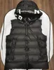 are puffer vests in style