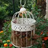 Decorative Figurines Objects & 2 Pcs Hummingbird Feeders Accessory Hooks Ant Moat Feeder Insect Guard