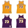 Dennis Rodman Custom Basketball Jersey S-6XL Mitchell Ness Jersey 1998-99 Mesh Hardwoods Classics Retro Jerseys Men Women Youth