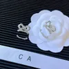 Orecchini di design con ciondoli Orecchini di design per ragazza Gioielli di moda Donne famose Orecchini con strass con borchie di diamanti Bowknot Accessori di marca di lusso Confezione regalo