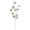 Fleurs décoratives artificielles Guanyin feuille de Lotus Faux Eucalytus branche verte 90 cm en plastique pliable belle soie bricolage ornement maison