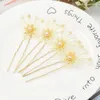 Necklace Earrings Set Design Leaves Wedding Hair Accessories Pearl Crystal Flower Bridal Comb Hairpin Sets Jewelry Gift