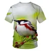 Heren t shirts mode losse dierenvogel heren t-shirts grappige papegaai 3D print casual t-shirt zomer ademende elastische hoge kwaliteit