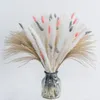 Dekorativa blommor 80 datorer Dry Pampas Grass Decor Bouquet Pampa Arrangement Boho Wedding Decoration Tail Home Room Table