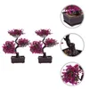 Fleurs décoratives bonsaï pin artificiel faux argent arbres de verdure japonais cèdre intérieur mini cyprès genévrier ornement vert en pot