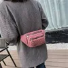 Taille sacs en peluche femmes sac Simple ceinture épaule bandoulière poitrine marque concepteur femme Fanny Pack banane hanche sac à main 1 pc