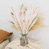 Dekorativa blommor 80 datorer Dry Pampas Grass Decor Bouquet Pampa Arrangement Boho Wedding Decoration Tail Home Room Table