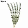 Fiori decorativi 10pcs foglie di eucalipto naturale fiore asciutto di nozze decorate eucalipto steli per ornamenti per la casa