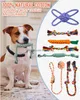 Hundespielzeug zum Kauen für kleine Hunde, Welpen, zum Zahnen, niedlich, ohne Füllung, Plüsch, interaktives Seil, IQ-Leckerli-Bälle und quietschendes Spielzeug, Drop Deli Ami21