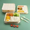 使い捨ての食器の持ち帰りボックス分解性素材の食事ボックスマルチ - ラティスファーストフードボックス卸売