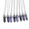 Pendant Necklaces Reiki Healing Jewelry Amethyst Natural Stone Hexagonal Amethysts Quartz Crystal Pendum Chakra Stainless Yydhhome D Dhndq