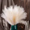 Decorative Flowers 5pcs/set Artificial Pampas Grass Home Decor Fake Plant Simulation Reed Flower Bouquet Wedding Decoration Birthday Party