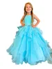 Girl Dresses Kids Ballgown Pageant Dress 2023 Velvet Bustier Organza Ruffled Tiers Skirt Magenta Sky-Blue Black/Ivory Flower Girls Party