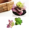 Decorative Flowers Artificial Succulents Plants Plastic Floristry Decoration Craft Fake For Office Table Potted Ornaments Home Garden Decor