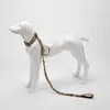 Colliers de chien en laisse tactique militaire mène un nylon durable réfléchissant pour un chiot moyen grand chiot