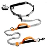 Dog Collars Dogs Leash Running Jogging Padded Waist Belt Reflective Strip Elastic Harness Collar Lead Walking Training