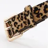 Belts Winter Fashion Pink Leopard Spotted Horsehair Decorative Belt Women's Vintage Wild Pin Buckle BeltBelts