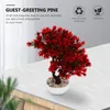 Decoratieve bloemen Rood Home Decor Decor Desk PLANTEN Plastic groen Bonsai Pot Mentaal Nep Tree Garden