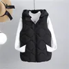 Gilet da donna 2023 Inverno Piumino in cotone con cappuccio Gilet corto da donna Solid Ladies Gilet senza maniche Femminile trapuntato con cerniera Piumino H820