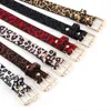 Cinturones de moda de invierno para mujer, cinturón decorativo de crin con manchas de leopardo rosa, cinturón con hebilla salvaje Vintage