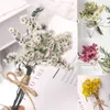 Ghirlande di fiori decorativi Mini bouquet di fiori secchi Disposizione di una piccola bottiglia di latte Decorazione della tavola Cassetta delle lettere Regalo Pampa Coniglio Code Boho Decorazione di nozze