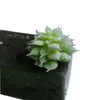 Dekorativa blommor 1 st konstgjorda plastväxter saftiga simulering frost lotus cacus mini landsc