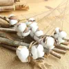 Decorative Flowers White Cotton Branch Artificial Flower Head 10PCS/LOT Dried DIY Naturally Stems Farm House