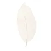 Decorative Flowers Wreaths New 50Pcs Natural Magnolia Skeleton Leaf Leaves Card Scrapbook White Festive Party Supplies Wedding Home Decoration T230217