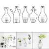 Vases Style nordique Vase à fleurs Terrarium conteneur support de fer avec tasse en verre ornement hydroponique porte-plante suspendu pour décor de bureau