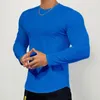 T-shirt da uomo T-shirt fitness a righe nere T-shirt casual da uomo a maniche lunghe Palestra maschile Bodybuilding T-shirt skinny Top Running Sport Training