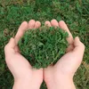 Decorative Flowers Simulated Permanent Moss Turf Artificial Shop Window Plant Decoration Potted Landscape