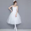 Stage Wear 2023 volwassen romantische ballet tutu repetitie oefen rok zwanen kostuum voor vrouwen lange tule jurk witte kleur