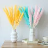 Decoratieve bloemen Natuurlijk echt gedroogd Reed Pampas Grass Bouquet Diy Handgemaakte hooi -combinatie Boheemian voor huwelijkshuistafel Dekoratie