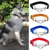 Abbigliamento per cani Accessori per l'addestramento Cinturino da collo Fibbia di sicurezza Trazione Piccoli accessori Corda in nylon Collare per cani Collana per animali domestici