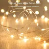 Strings Cgledshine 2 Pack USB Powered 33Ft 100 Led Christmas Fairy String Lights For Party Wedding Festival Bedroom Table Decoration