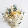 Flores decorativas grinaldas trigo coelho cauda grama buquê de flores secas diy flor perpétua sala de estar gradiente lagurus ovatus casamento decoração de casa t230217