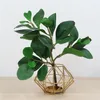 Fleurs décoratives Grand arbre tropical Plantes vertes artificielles Grand 38''Fake Ficus Branch Plastic Eucalyptus Leaf False Banyan For