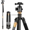 Tripodlar QZSD BEIKE Q999C Karbon Fiber Profesyonel Tripod Monopod Ballhead Chanteebel DSLR Kamera 1400g Netweight 159cm maksimum yükseklik