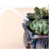 Watering Equipments 2 Pack Plant Flower Succulent Bottle Bend Mouth Squeeze Bottle--250ML And 500ML