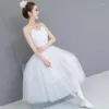 Stage Wear 2023 Adult Romantic Ballet Tutu Rehearsal Practice Skirt Swan Costume For Women Long Tulle Dress White Color