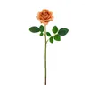 Dekorative Blumen Pografie Hintergrund 5 Stück Simulation Rose Blumenzweig Seide Künstliche Fake Flore Home Decor Pfingstrose Hand hält Blumenstrauß